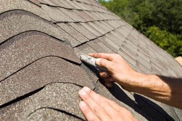 Shingle roof in Starke, FL