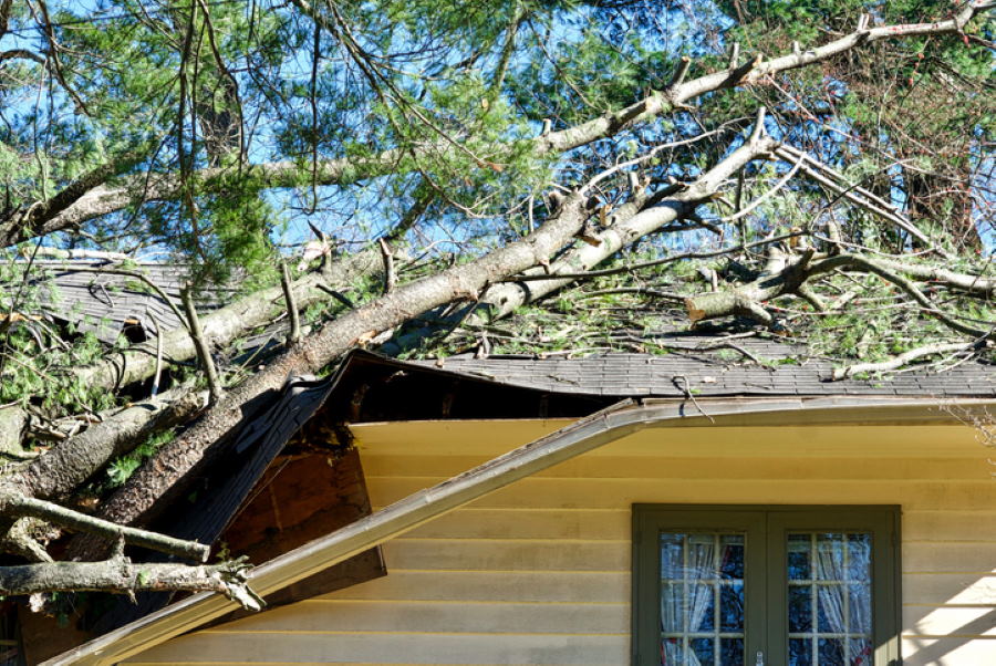 Storm Damage by Jacksonville Roofers